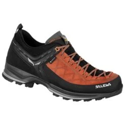 Chaussures D'approche Salewa MTN Trainer 2 GTX Autumnal Black