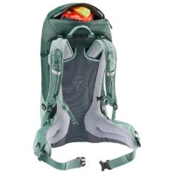 Sac à Dos Deuter Futura 24 SL Forest Jade -Magasin De Randonnée Et De Camping 66286fc8f28681363c2ac760368afd5ce406a72c E23DEUTACC371135 DEUT0712302 902