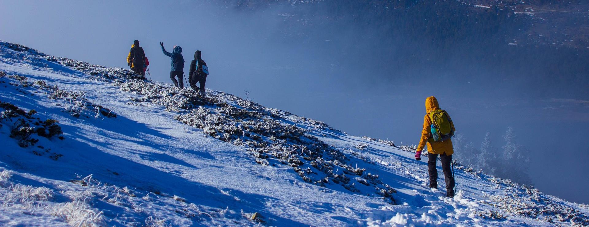 Magasin De Randonnée Et De Camping -Magasin De Randonnée Et De Camping hiking 7712678 1920